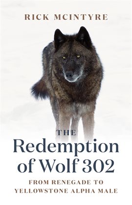 Cover image for The Redemption of Wolf 302