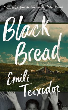 Cover image for Black Bread