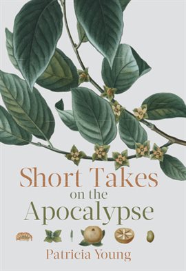 Cover image for Short Takes On The Apocalypse