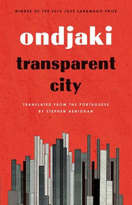 Cover image for Transparent City