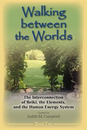 The interconnection of reiki, the elements, and the human energy system cover image