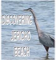 Discovering jericho beach cover image