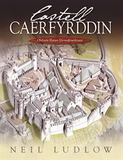 Castell Caerfyrddin : Olrhain Hanes Llywodraethiant cover image
