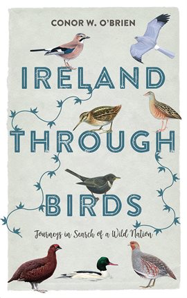 Cover image for Ireland Through Birds
