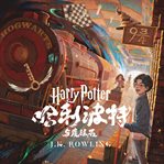 哈利·波特与魔法石 : Harry Potter (Chinese) cover image