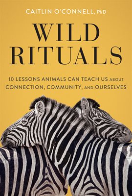 Cover image for Wild Rituals