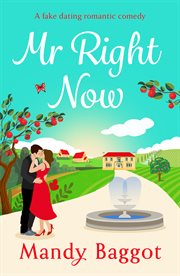 Mr Right Now : An uplifting, heart-warming read from top 20 bestseller Mandy Baggot for summer 2024 cover image