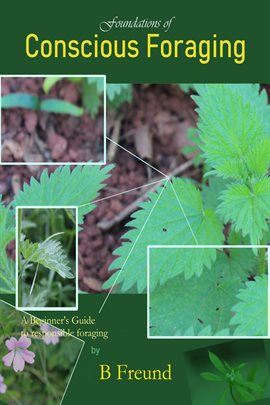 Cover image for Foundations of Conscious Foraging