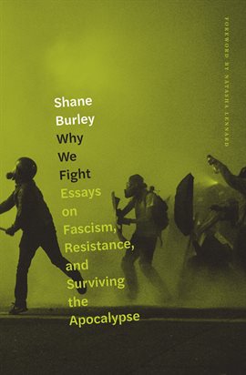 Cover image for Why We Fight