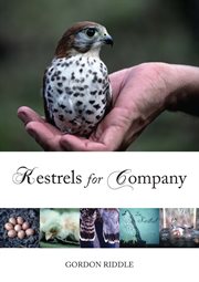 Kestrels for company cover image