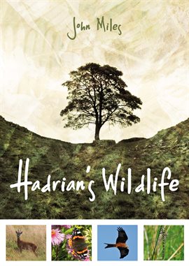 Cover image for Hadrian's Wildlife