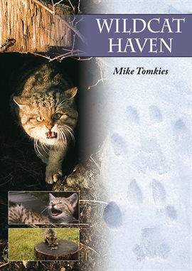 Cover image for Wildcat Haven