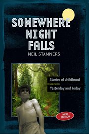 Somewhere night falls cover image