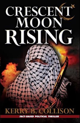 Cover image for Crescent Moon Rising