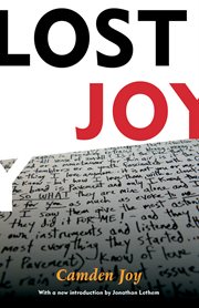Lost joy cover image