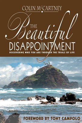 Cover image for The Beautiful Disappointment