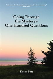 Going through the mystery's one hundred questions cover image