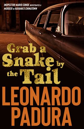 Cover image for Grab a Snake by the Tail