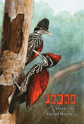 Cover image for Fauna