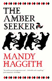 The amber seeker cover image