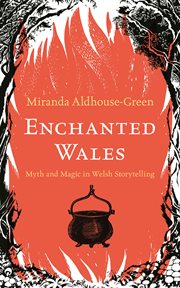 Enchanted Wales : Myth and Magic in Welsh Storytelling cover image