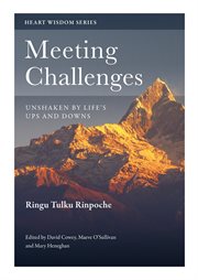 Meeting challenges : unshaken by life's ups and downs cover image
