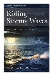Riding stormy waves : victory over the maras cover image