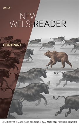 Cover image for New Welsh Reader