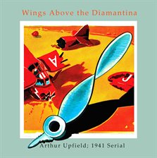 Wings Above the Diamantina