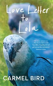Love Letter to Lola cover image