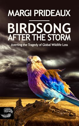 Cover image for Birdsong After the Storm