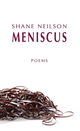 Cover image for Meniscus