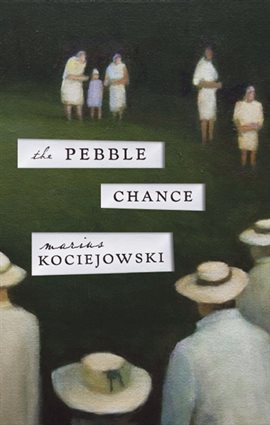 Cover image for The Pebble Chance