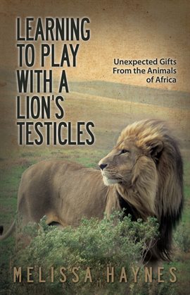 Cover image for Learning To Play With A Lion's Testicles