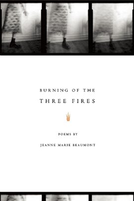 Cover image for Burning of the Three Fires