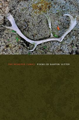 Cover image for The Reindeer Camps