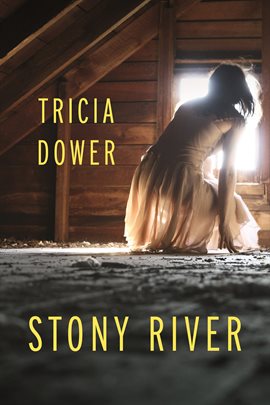 Cover image for Stony River
