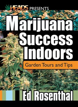 Cover image for Marijuana Success Indoors