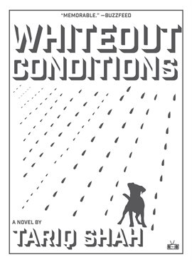 Cover image for Whiteout Conditions