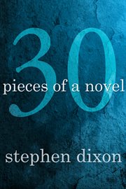 30: pieces of a novel cover image