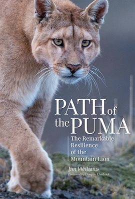 Cover image for Path of the Puma