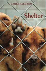 Shelter cover image