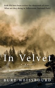 In Velvet: a Novel cover image