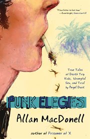 Punk Elegies: True Tales of Death Trip Kids, Wrongful Sex, and Trial by Angel Dust cover image