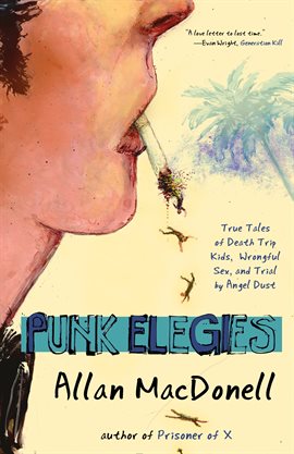 Cover image for Punk Elegies