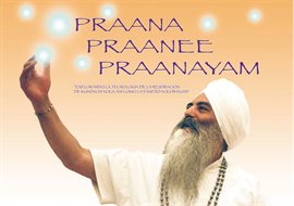 Cover image for Praana Praanee Praanayam