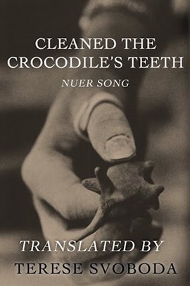 Cover image for Cleaned the Crocodile's Teeth