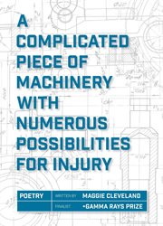 A Complicated Piece of Machinery With Numerous Possibilities for Injury cover image