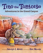 Tino the tortoise cover image