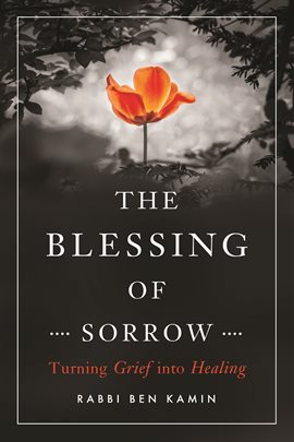 Cover image for The Blessing of Sorrow